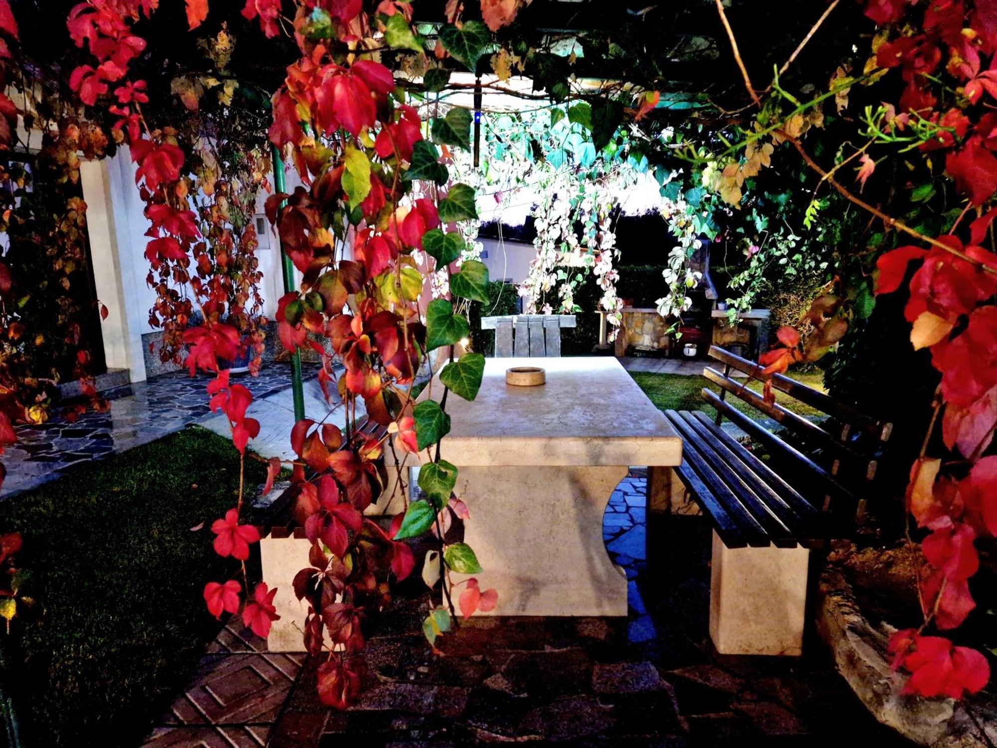 Casa Luana Villa Roč Kültér fotó